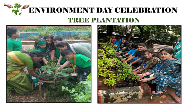 Environment day - Tree plantation